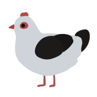 A mist and sable chicken