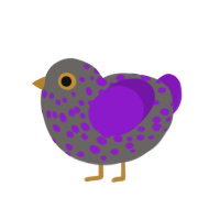 Fluorite, a grey and violet chicken with a speckle pattern