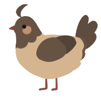 A beige and bark chicken with a head pattern