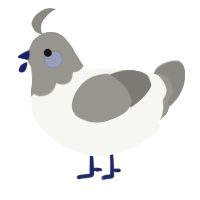 A white and ash chicken with a head pattern