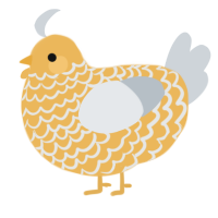 A honey and mist chicken with a lace pattern