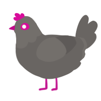A grey chicken with a head pattern