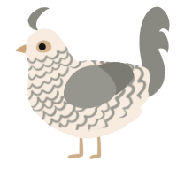 A cream and ash chicken with a lace pattern