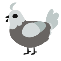 A grey and silver chicken with a head pattern