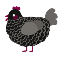 A black and grey chicken with a lace pattern