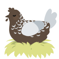 A bark and mist chicken with a half-lace pattern