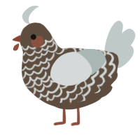 A bark and silver chicken with a lace pattern