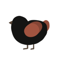 (unnamed), a black and russet chicken