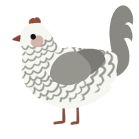 A white and ash chicken with a lace pattern