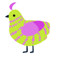 A lime and orchid chicken with a bar pattern