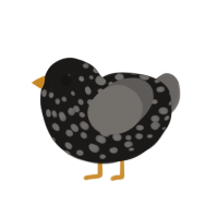 Orphan, a sable chicken with a speckle pattern