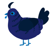 A navy and tumblr chicken with a half-bar pattern