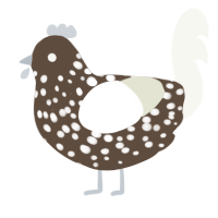 A bark and white chicken with a speckle pattern
