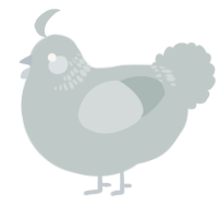 A silver chicken with a neck-band pattern