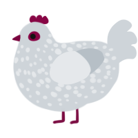 A mist chicken with a speckle pattern