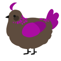 A bark and plum chicken with a neck-speckle pattern