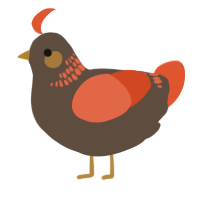 A bark and vermilion chicken with a neck-band pattern