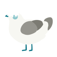 A white and ash chicken