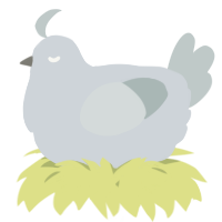 A mist and silver chicken