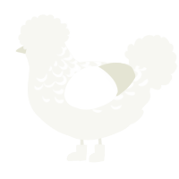 A white chicken with a half-lace pattern