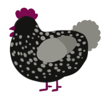 A black and ash chicken with a speckle pattern
