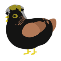 A black and brown chicken with a neck-band pattern