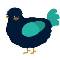 A tumblr and turquoise chicken
