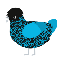 A black and cerulean chicken with a double-lace pattern