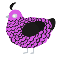 A orchid and sable chicken with a lace pattern