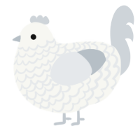 A white and mist chicken with a lace pattern