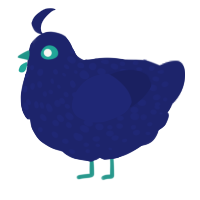 A navy chicken with a speckle pattern