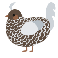 A bark and mist chicken with a lace pattern