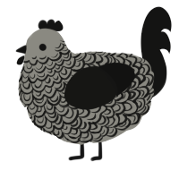 A ash and black chicken with a double-lace pattern