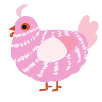 A pink and rose chicken with a bar pattern