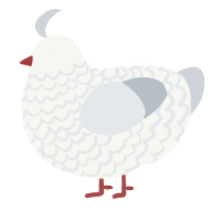 A white and mist chicken with a lace pattern