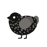 Dark Easter Egg, a black and grey chicken with a speckle pattern