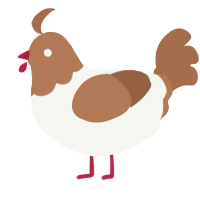 A white and brown chicken with a head pattern