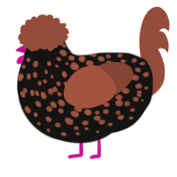 A black and russet chicken with a speckle pattern