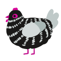 A sable and silver chicken with a bar pattern