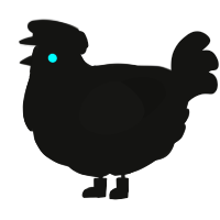 A black chicken