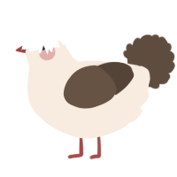 A cream and bark chicken