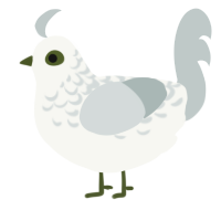 A white and silver chicken with a half-lace pattern