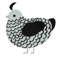 A silver and black chicken with a lace pattern