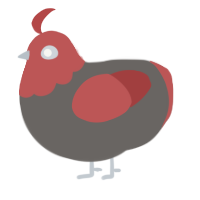 A grey and red chicken with a head pattern