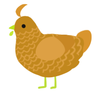 A ochre and orange chicken with a lace pattern