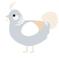 A mist and cream chicken with a neck-band pattern