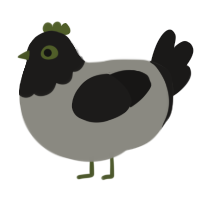 Olive, a ash and sable chicken with a head pattern