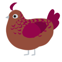 A russet and maroon chicken with a half-lace pattern