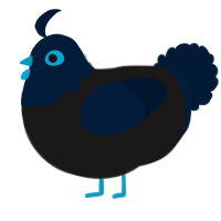 A sable and tumblr chicken with a head pattern
