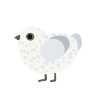 Geist, a white and mist chicken with a speckle pattern